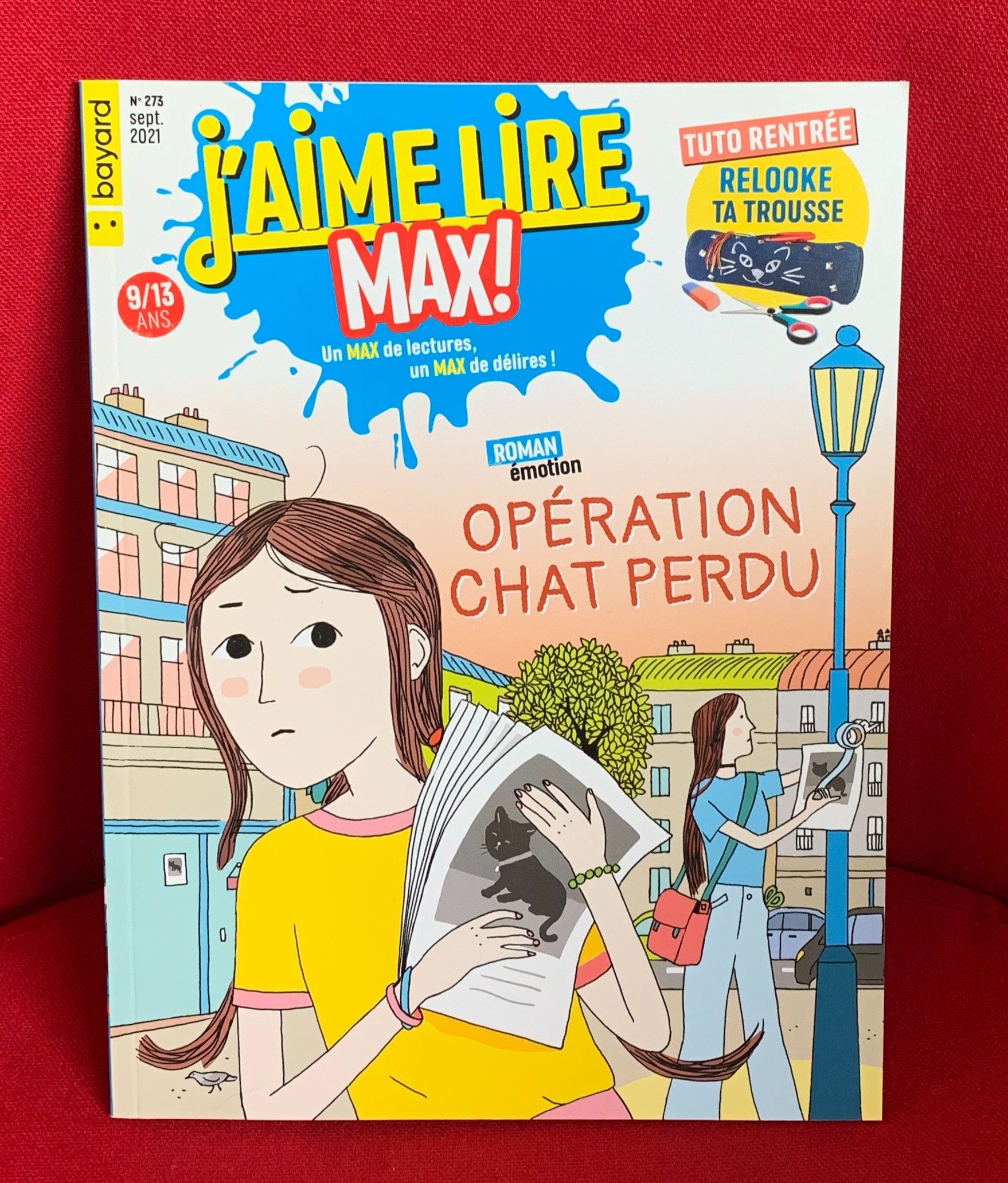Opération chat perdu - Click to enlarge picture.