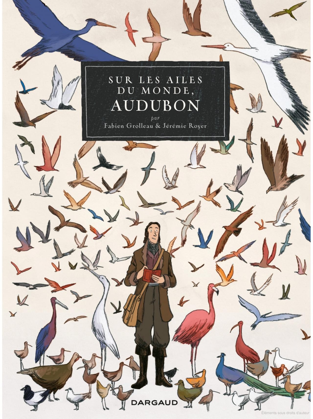 Sur les Ailes du monde, AUDUBON - Click to enlarge picture.