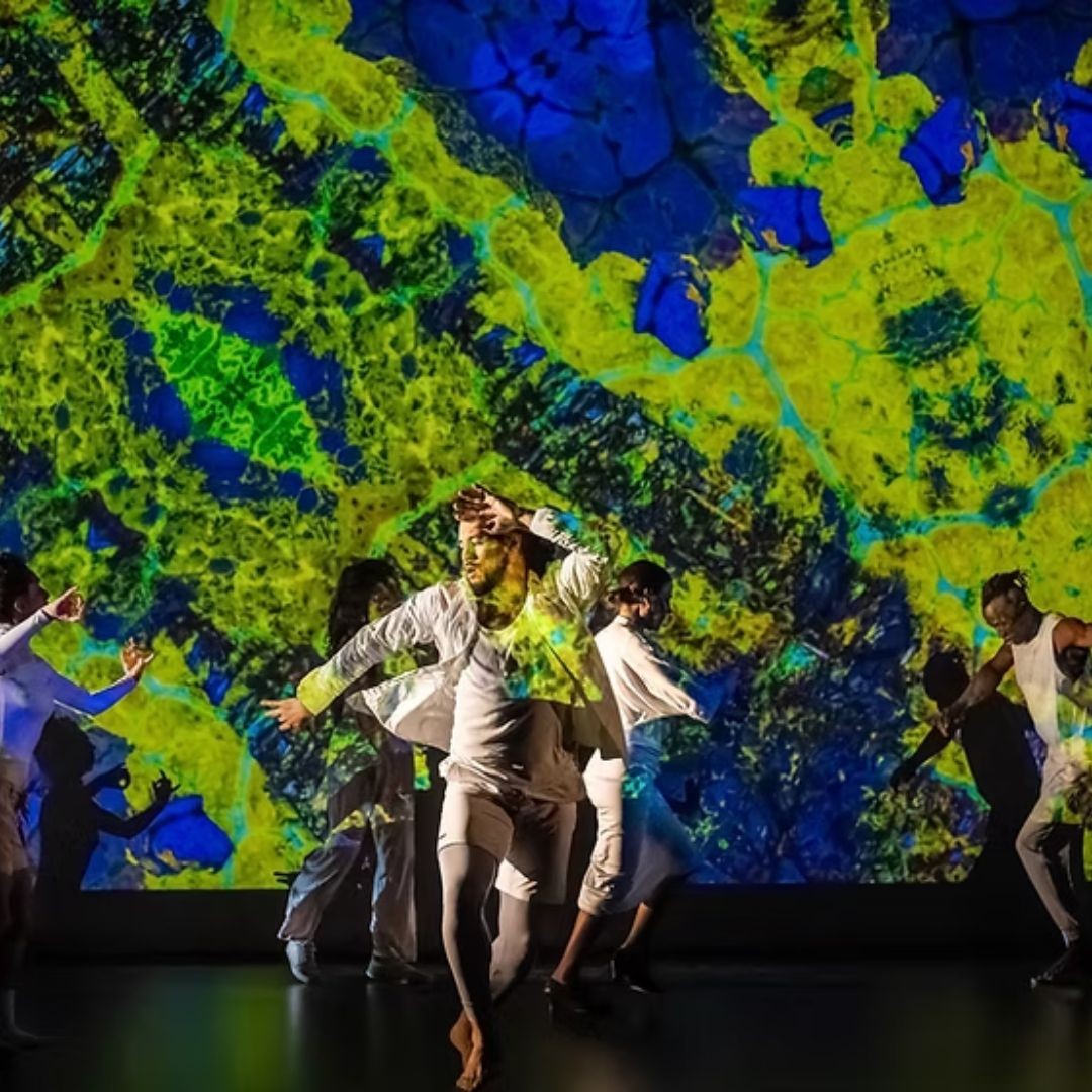 Dance performance: Mosaïco