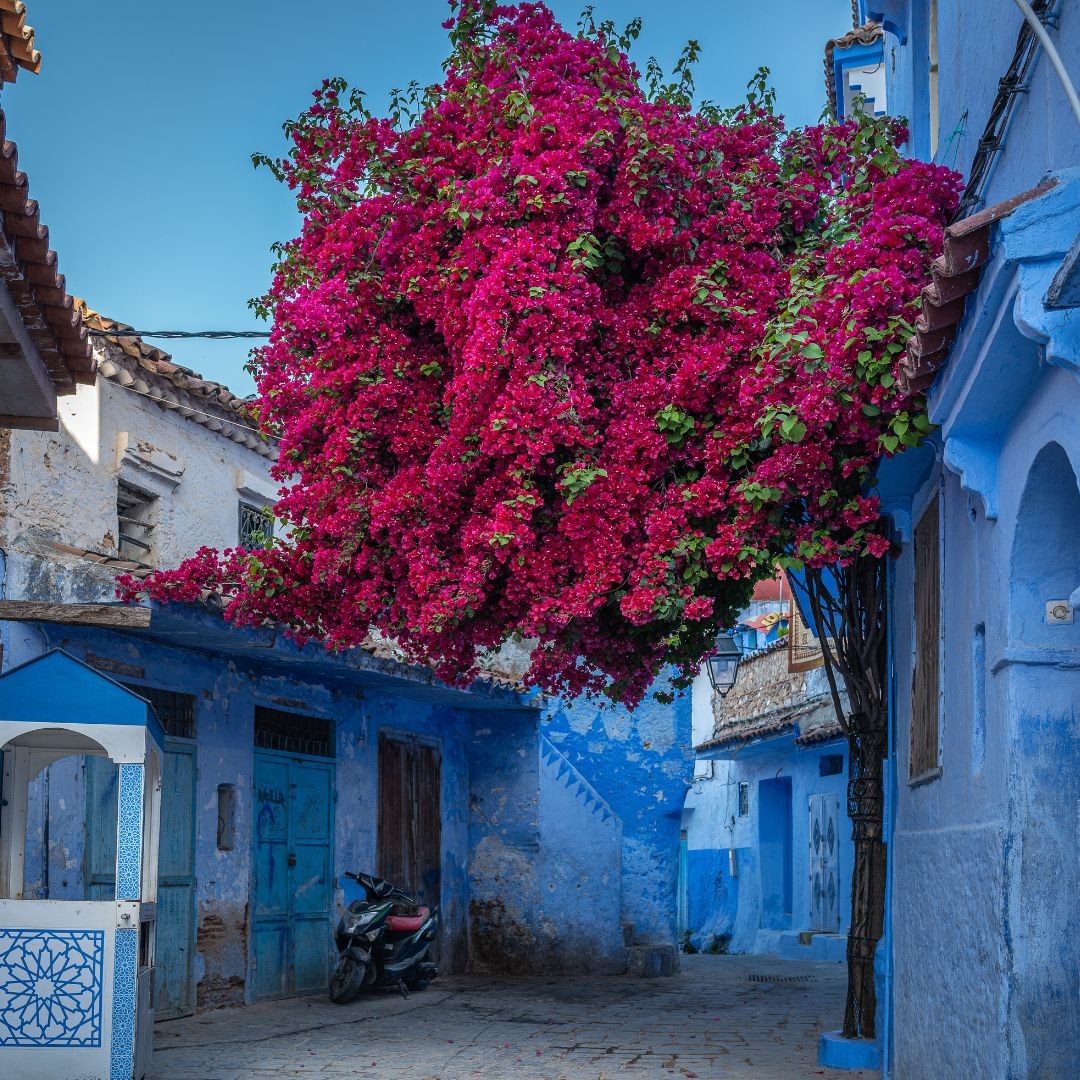 Morocco Photo Exhibition